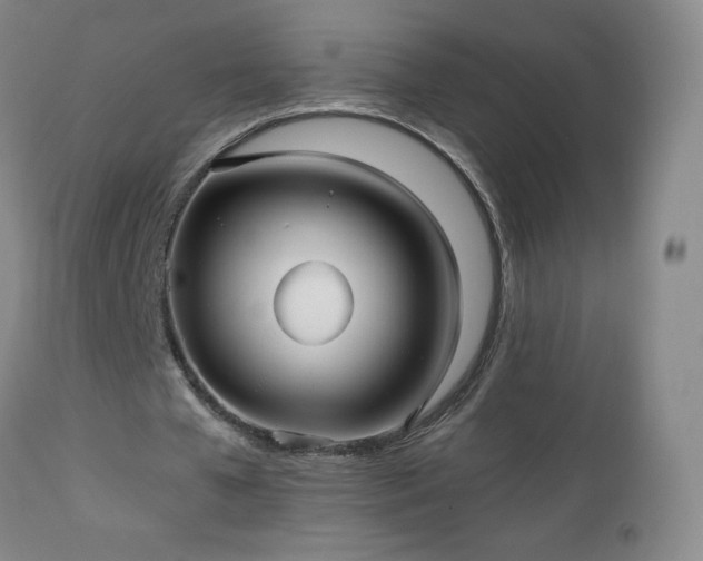 X0000112970577200909031048