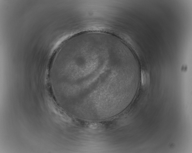 X0000112970579200909031047