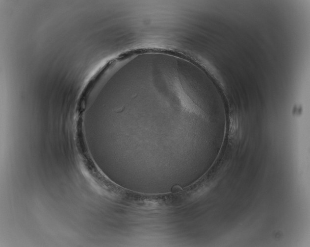 X0000112970580200909031047