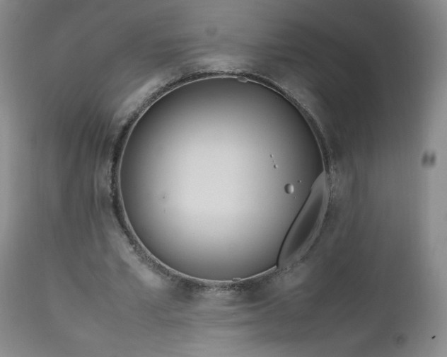 X0000112970581200909031047