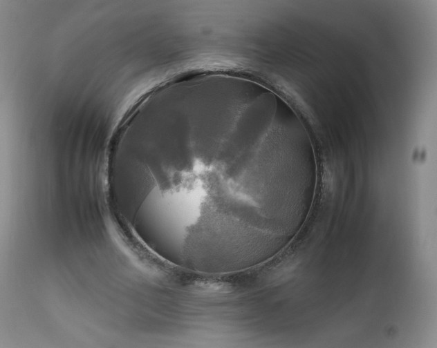 X0000112970582200909031047