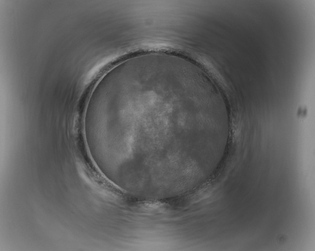 X0000112970583200909031047