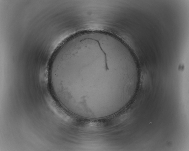 X0000112970584200909031047