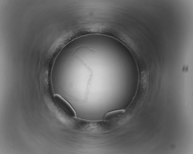 X0000112970589200909031047