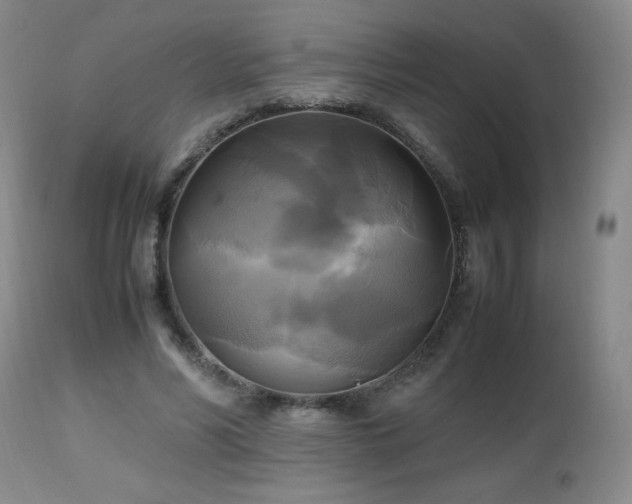 X0000112970590200909031047