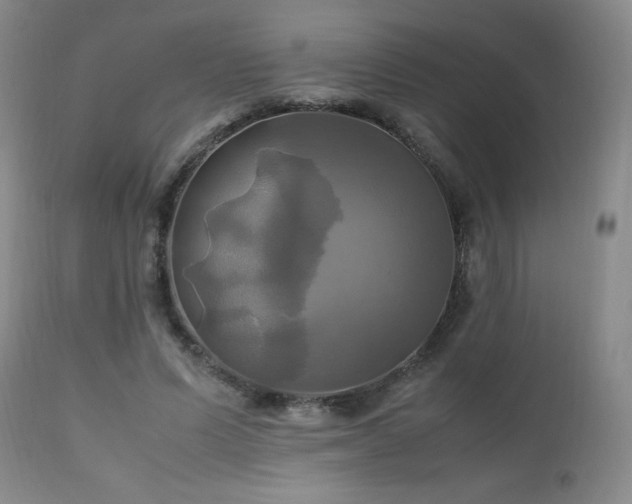 X0000112970591200909031047