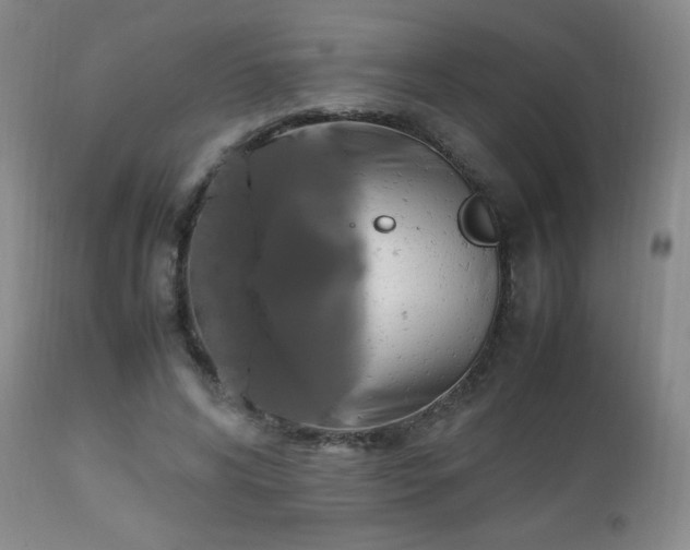 X0000112970592200909031047