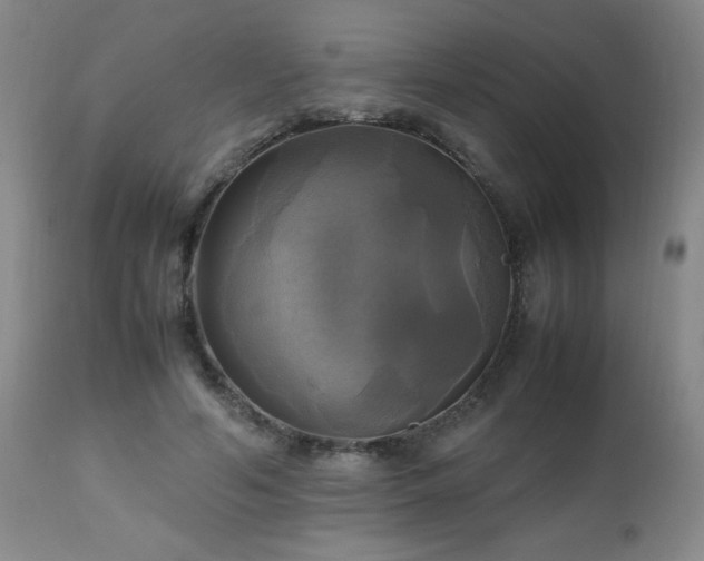 X0000112970594200909031047