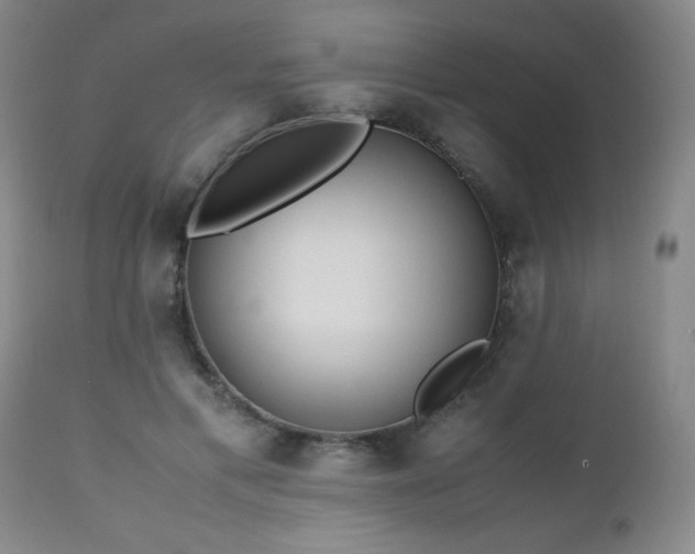 X0000112970597200909031047