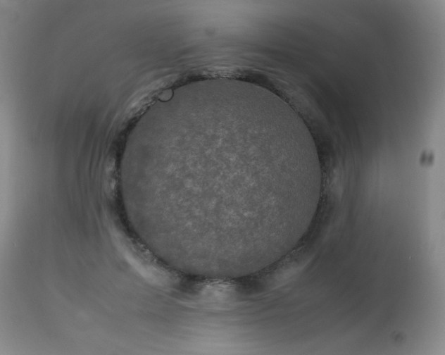 X0000112970599200909031047