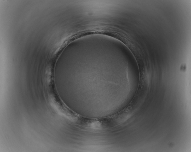 X0000112970600200909031047