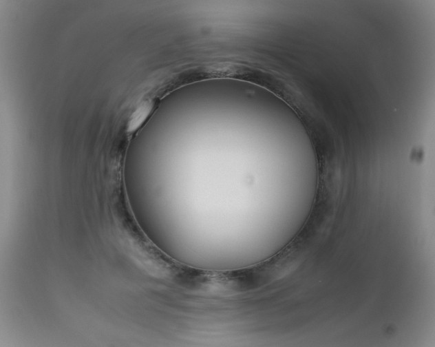 X0000112970601200909031047