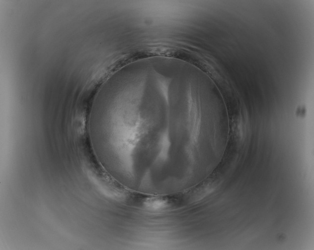 X0000112970602200909031047