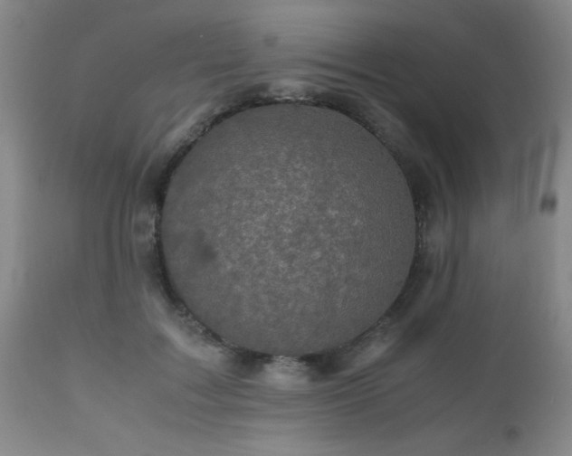 X0000112970603200909031047