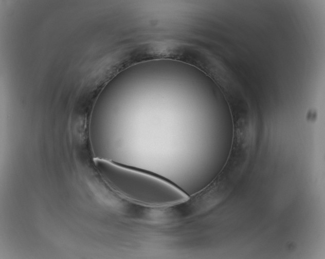 X0000112970605200909031047