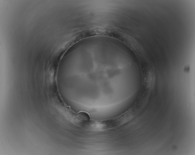 X0000112970610200909031047