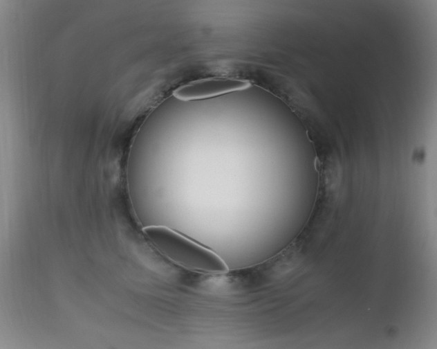 X0000112970611200909031047