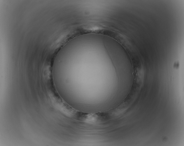 X0000112970612200909031047