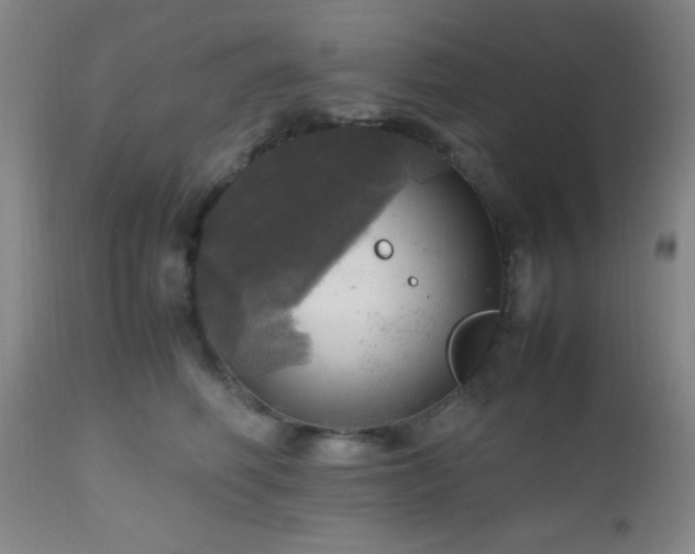 X0000112970614200909031047