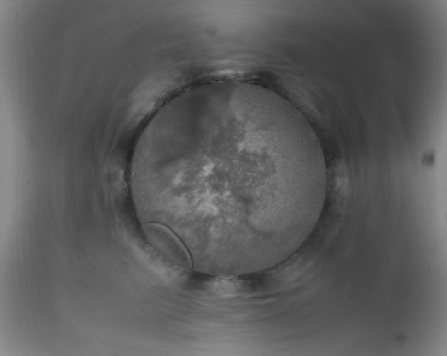 X0000112970615200909031047