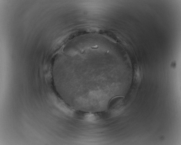 X0000112970616200909031047