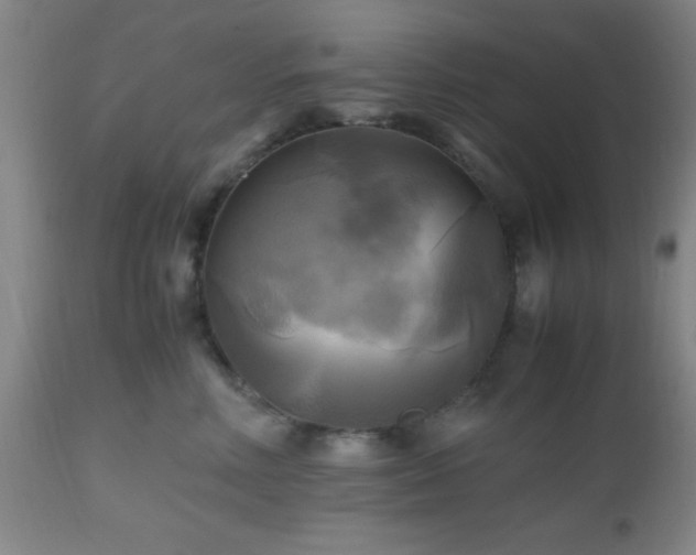 X0000112970618200909031047