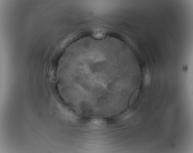 X0000112970619200909031047