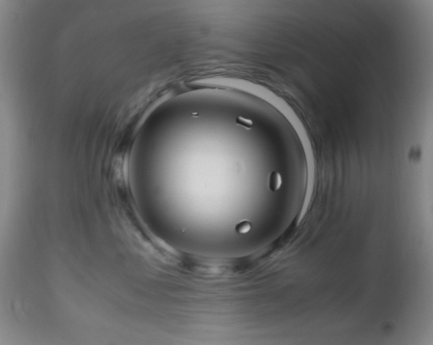 X0000112970621200909031047