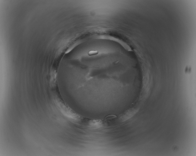 X0000112970624200909031047