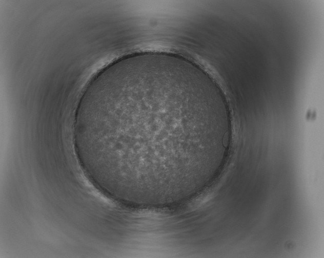 X0000112970625200909031046