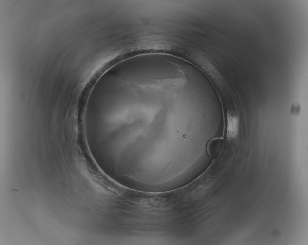 X0000112970627200909031046