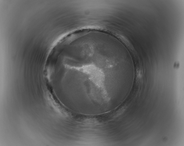 X0000112970628200909031046