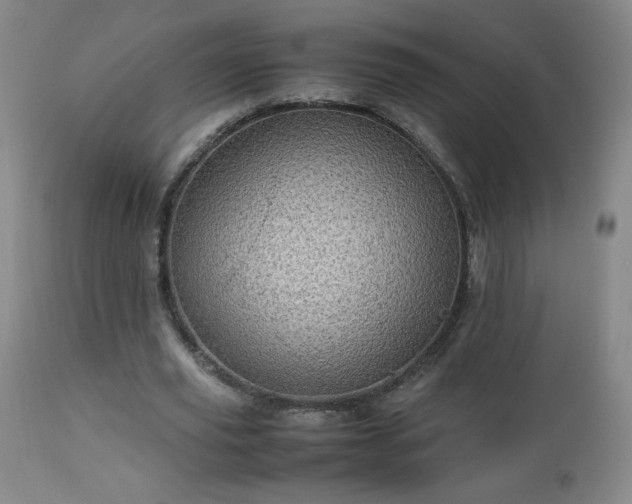 X0000112970629200909031046