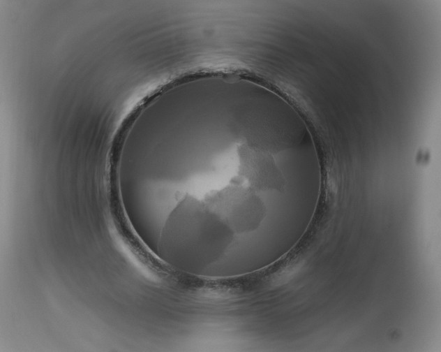 X0000112970630200909031046