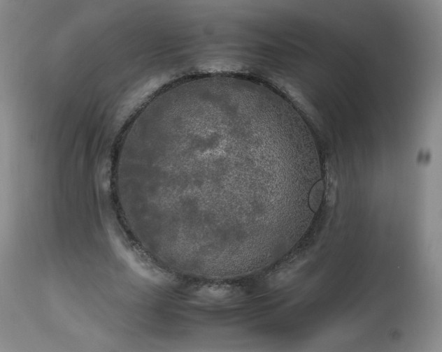 X0000112970631200909031046