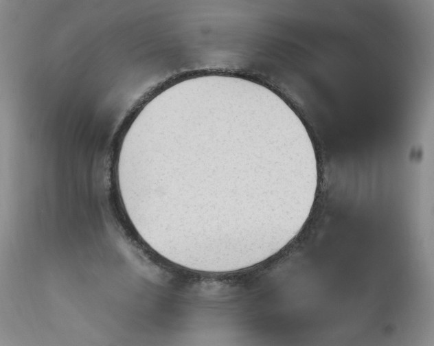 X0000112970632200909031046