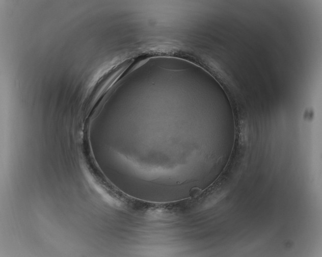 X0000112970634200909031046