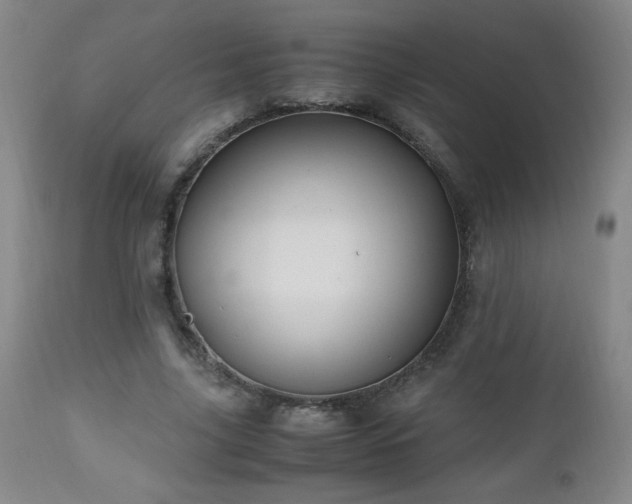 X0000112970635200909031046