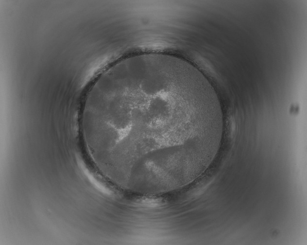 X0000112970638200909031046