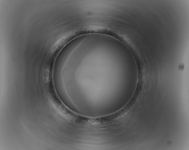 X0000112970640200909031046