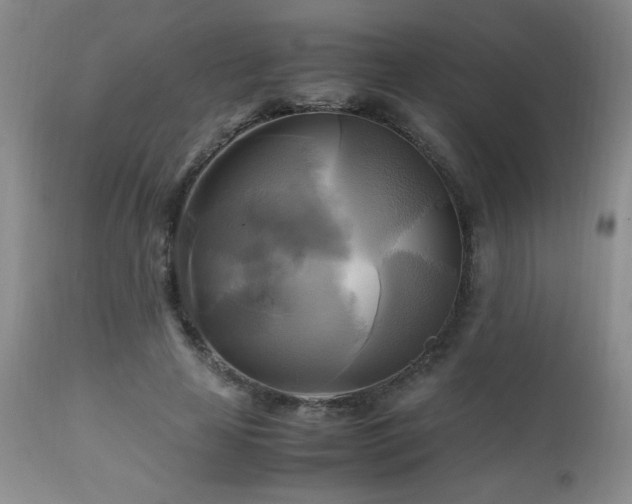 X0000112970641200909031046