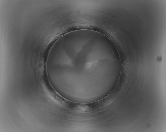 X0000112970642200909031046