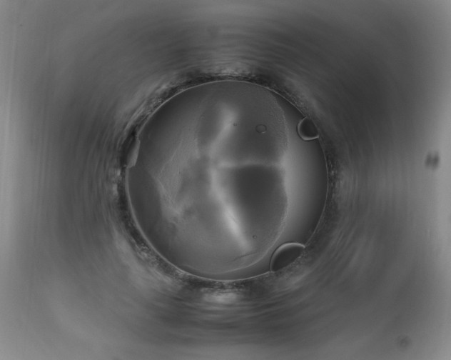 X0000112970643200909031046