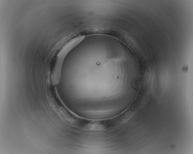 X0000112970644200909031046