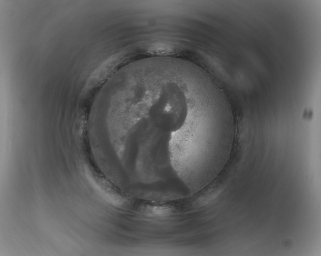 X0000112970645200909031046