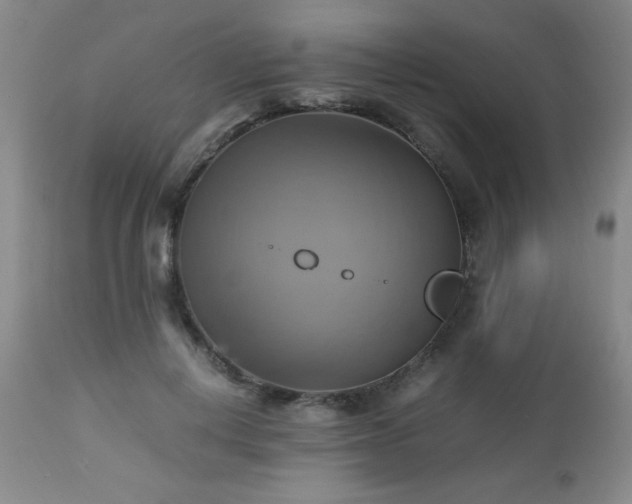 X0000112970648200909031046