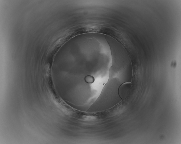 X0000112970649200909031046