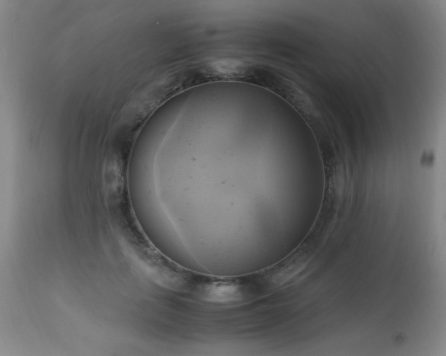 X0000112970651200909031046