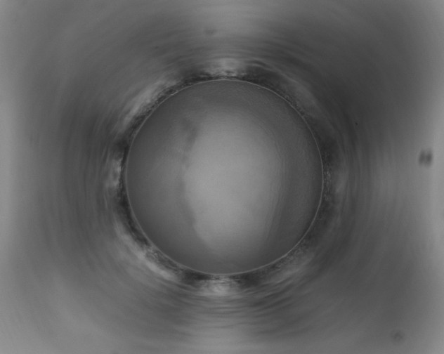 X0000112970652200909031046