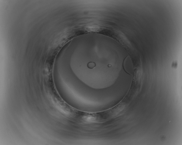 X0000112970655200909031046